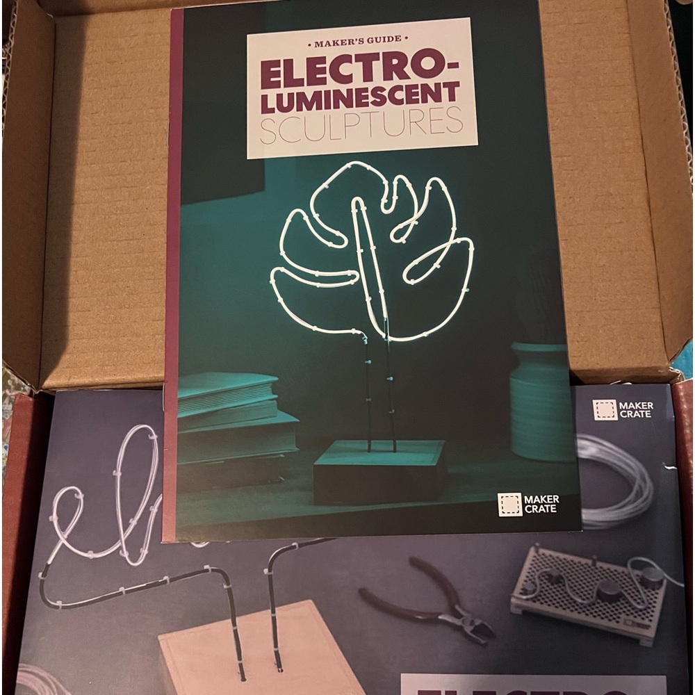 Kiwi Co Electroluminescent Sculptures